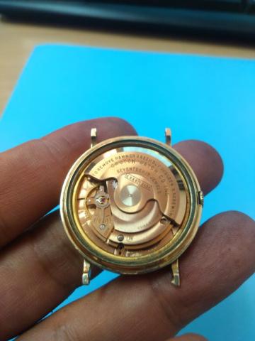 Name:  cro13.jpg
Views: 557
Size:  20.8 KB