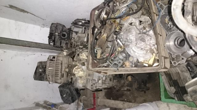 Name:  DSC_1925.jpg
Views: 517
Size:  41.6 KB