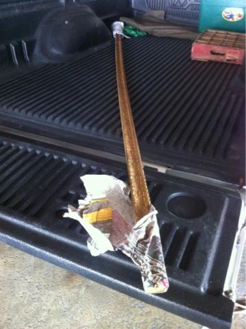 Name:  image-1009467879.jpg
Views: 746
Size:  29.0 KB