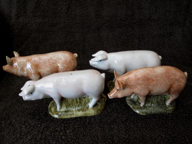 Name:  piggy0.jpg
Views: 281
Size:  43.9 KB