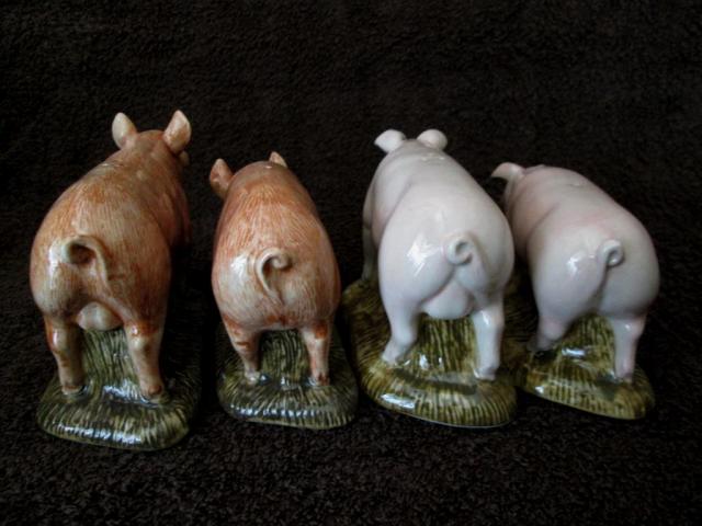 Name:  piggy1.jpg
Views: 282
Size:  42.1 KB