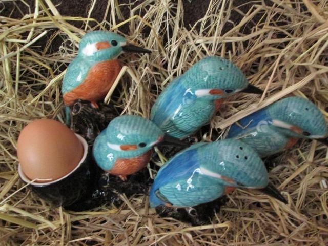 Name:  bluebird3.jpg
Views: 208
Size:  66.3 KB