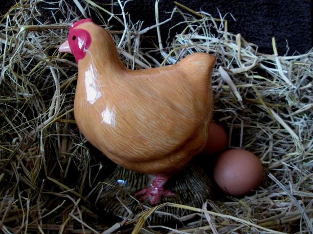 Name:  yellow.jpg
Views: 159
Size:  66.1 KB