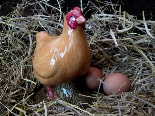 Name:  yellow1.jpg
Views: 157
Size:  67.8 KB