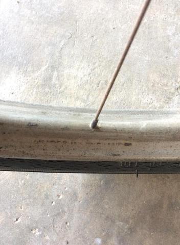 Name:  11127464_883665151675396_311985542_n.jpg
Views: 820
Size:  26.3 KB