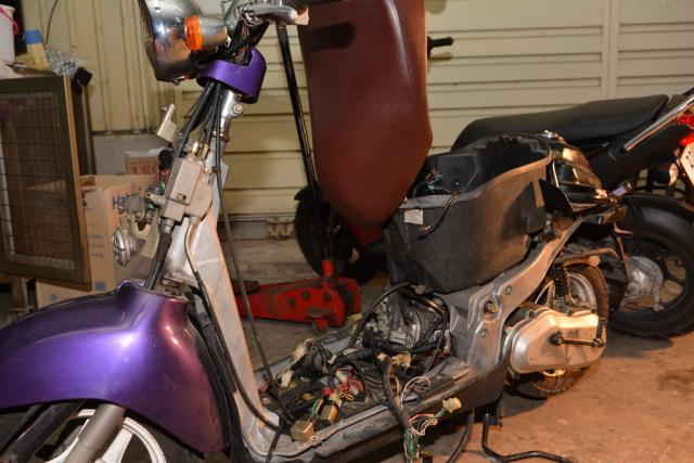 Name:  DSC_3029.jpg
Views: 1687
Size:  47.7 KB