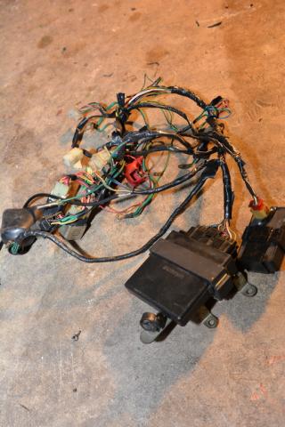 Name:  DSC_3033.jpg
Views: 1530
Size:  30.4 KB