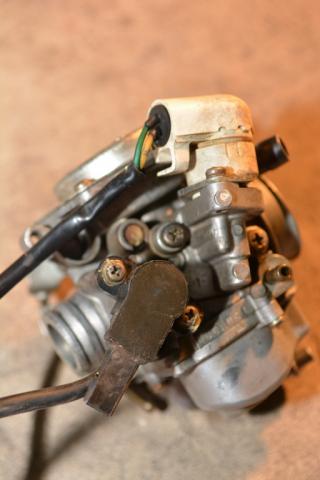 Name:  DSC_3037.jpg
Views: 1571
Size:  19.9 KB