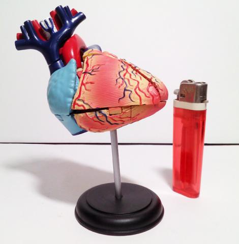 Name:  z324.jpg
Views: 799
Size:  21.7 KB