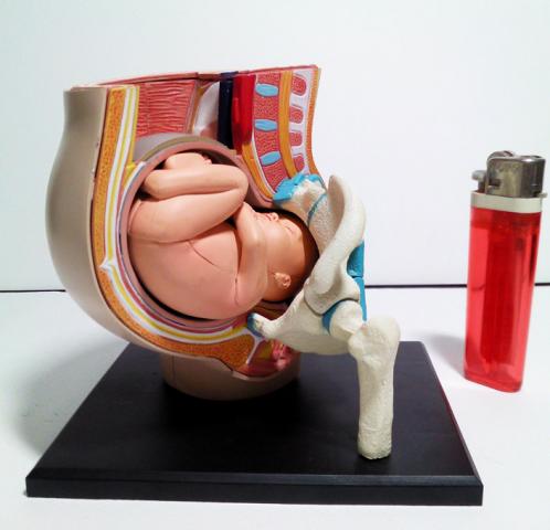 Name:  z320.jpg
Views: 730
Size:  25.3 KB