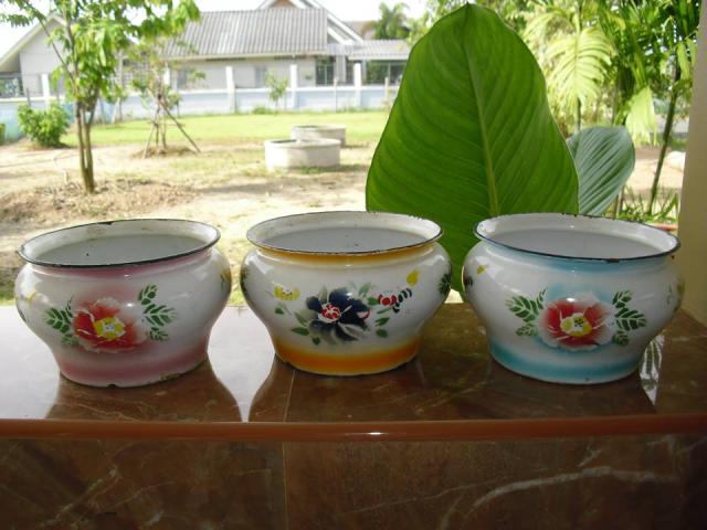 Name:  ⶹ´͡ ҹ 緹 3   ˹ ˹ѡ  350  50.jpg
Views: 439
Size:  45.4 KB