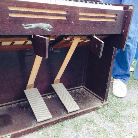 Name:  11650592_851127014956885_756240739_n.jpg
Views: 90
Size:  41.2 KB