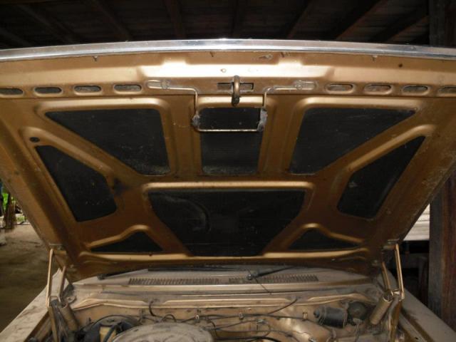 Name:  402852_3588035947596_1912656755_n.jpg
Views: 4517
Size:  37.9 KB