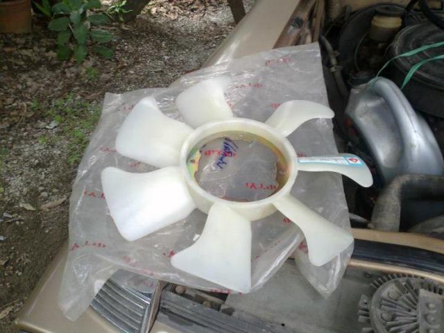 Name:  543736_3637033052493_2022966499_n.jpg
Views: 4497
Size:  44.4 KB