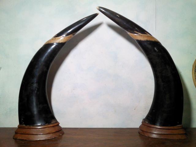 Name:  IMG_20150813_224533.jpg
Views: 1441
Size:  27.0 KB