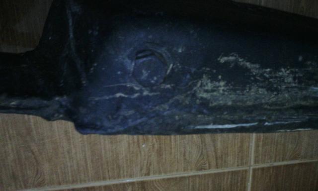 Name:  1439991691477.jpg
Views: 477
Size:  24.4 KB