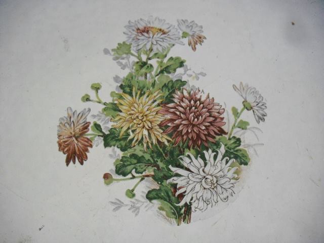 Name:  Ҵͺ һ ´͡ ͺԹ ˹ ˹ѡ Ҿҡ ҧ 40 繵  850  50-2.jpg
Views: 410
Size:  34.8 KB