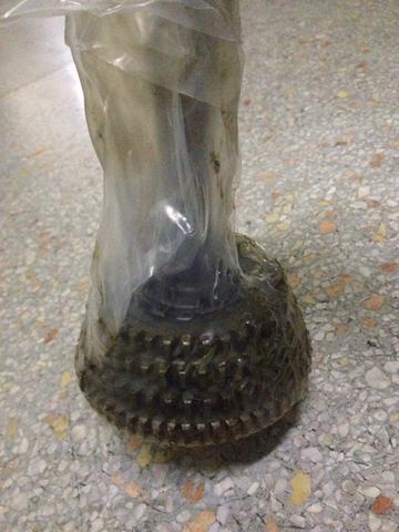 Name:  63bfd725a3d60aa421b570dc281be9e2.jpeg
Views: 342
Size:  29.0 KB