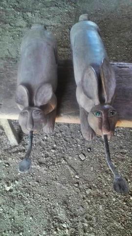 Name:  е¢ٴо ҹѡ ͪҧҹ ͧ Ҵ˭ҡ Ƿ١ 37 .jpg
Views: 606
Size:  33.1 KB