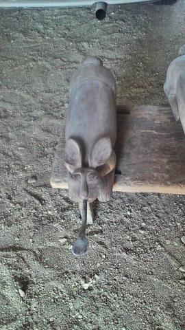 Name:  21539.jpg
Views: 580
Size:  37.4 KB