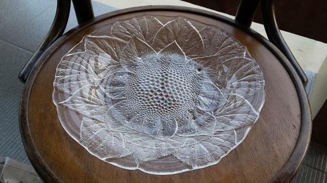 Name:  ҹHOYA  С ҧ 28 繵  2   450  40.jpg
Views: 1612
Size:  55.2 KB