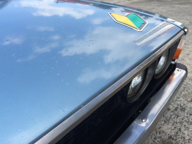 Name:  IMG_9918.jpg
Views: 2344
Size:  32.6 KB