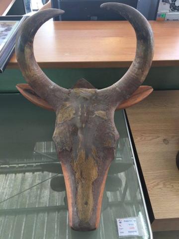 Name:  12576342_10204117080687442_214337209_n.jpg
Views: 110
Size:  24.6 KB