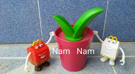 Name:  12715218_1742419605977457_6584378531684494276_n.jpg
Views: 524
Size:  33.4 KB