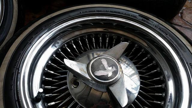 Name:  12705564_1023843974353548_1341766983531110885_n.jpg
Views: 151
Size:  48.1 KB