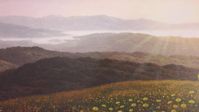 Name:  20160222_080309.jpg
Views: 577
Size:  23.1 KB