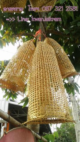 Name:  䫤ҧ ҹҹ੾㹪 ͧҴ  55 cm.  90 cm. ѹ 200  400 .jpg
Views: 449
Size:  39.2 KB