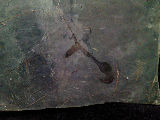 Name:  13221582_1751458508436577_8567453189177663039_n.jpg
Views: 588
Size:  41.8 KB