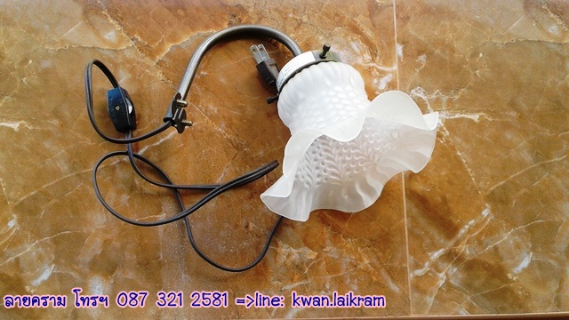 Name:  俵Դѧ ШպкѴ ٧ 12 cm. ʹẺ ػóú Դҹ .jpg
Views: 594
Size:  110.2 KB