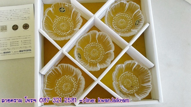 Name:  ¤ʵŢҴ  ҹʵ HOYA ҡ ҹ㹡ͧè Ҵҧ 8 cm.  5  .jpg
Views: 346
Size:  104.6 KB