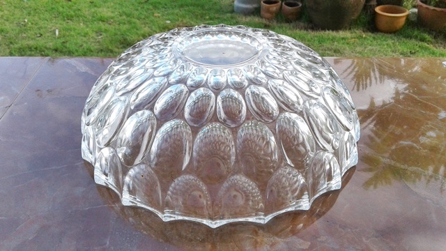 Name:  ʵŢҴ˭ ˹ ͧ HOYA ҡ 繪Ѵ ҧ 25.5 cm.  28.jpg
Views: 1493
Size:  106.7 KB