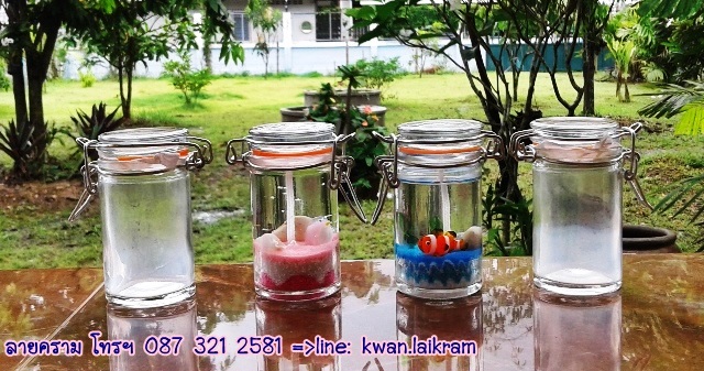 Name:  Ǵ˹ҽͤ٭ҡ Ҵ٧ 8 cm. ҧ 4.5 cm. Ҿҹ Ե㹭 .jpg
Views: 337
Size:  140.3 KB