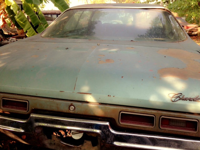 Name:  IMG_2567.JPG
Views: 1569
Size:  117.2 KB