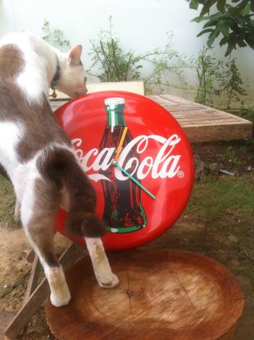 Name:  ClockCoke002.jpg
Views: 192
Size:  29.8 KB