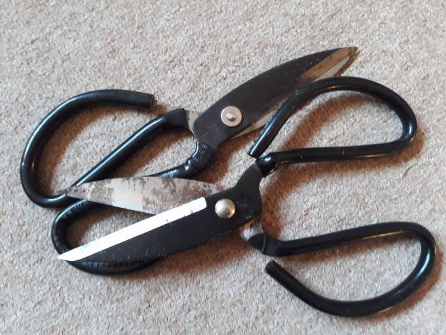 Name:  received_1567067573332088.jpg
Views: 501
Size:  62.3 KB