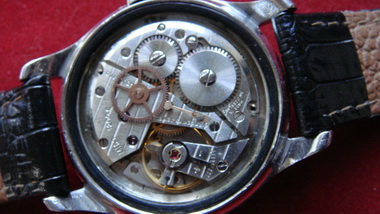 Name:  DSC0205732.jpg
Views: 198
Size:  59.6 KB