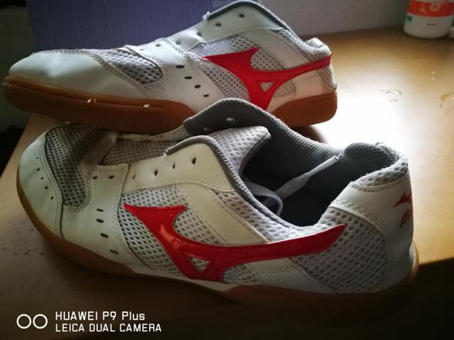 Name:  37732935_2042273045805281_4390677957836800000_n.jpg
Views: 155
Size:  37.7 KB