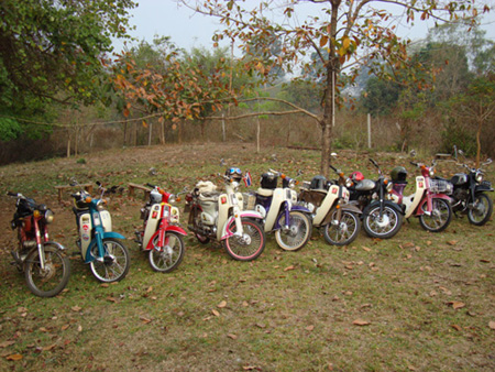 Name:  DSC00512222222222222222222222.jpg
Views: 311
Size:  130.5 KB