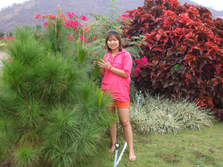Name:  DSCF0277.jpg
Views: 128
Size:  121.3 KB