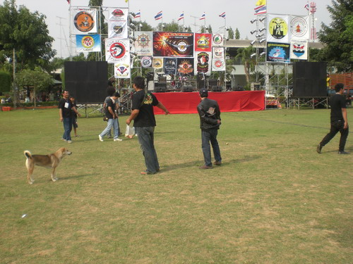 Name:  80.jpg
Views: 362
Size:  86.2 KB