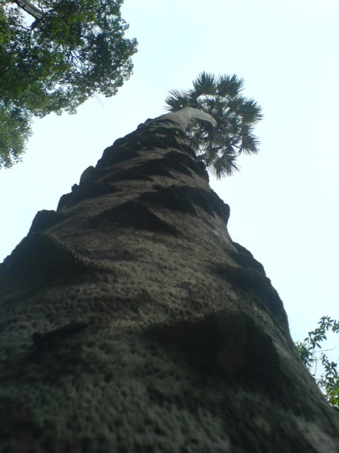 Name:  DSC01082.jpg
Views: 187
Size:  76.8 KB