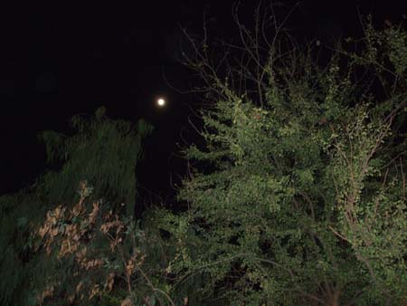 Name:  DSCF0407z18.jpg
Views: 203
Size:  41.2 KB