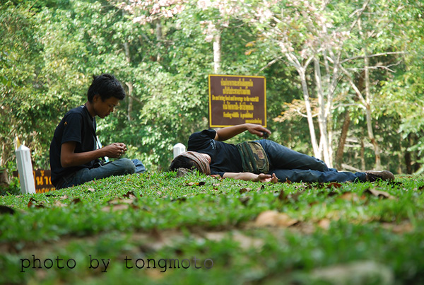Name:  64.jpg
Views: 435
Size:  145.0 KB