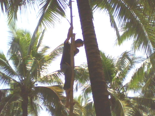 Name:  IMG0743A.jpg
Views: 121
Size:  89.6 KB