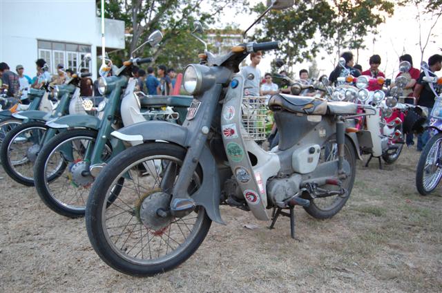 Name:  DSC_0428 (Small).JPG
Views: 2342
Size:  74.7 KB