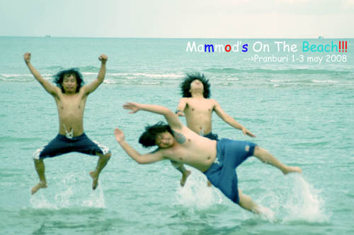 Name:  DSC_1356 copy.jpg
Views: 519
Size:  43.8 KB